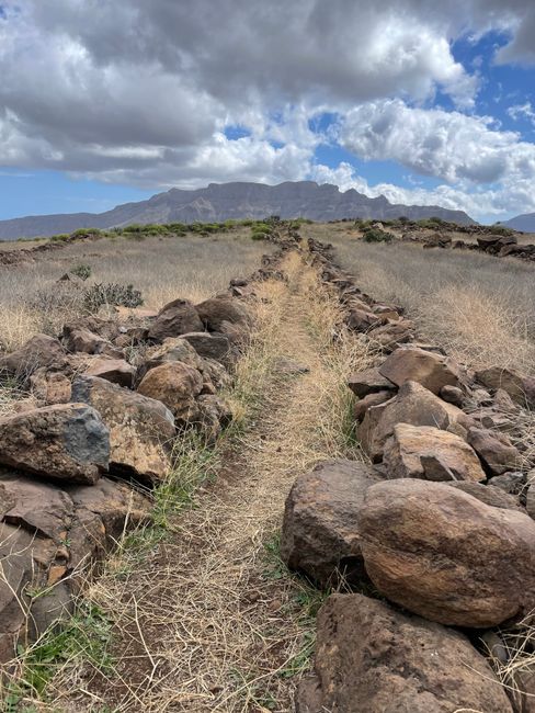 Bicicleta Houston vs Tito (Masculina Rebaixada): Qual Escolher Em 2026?